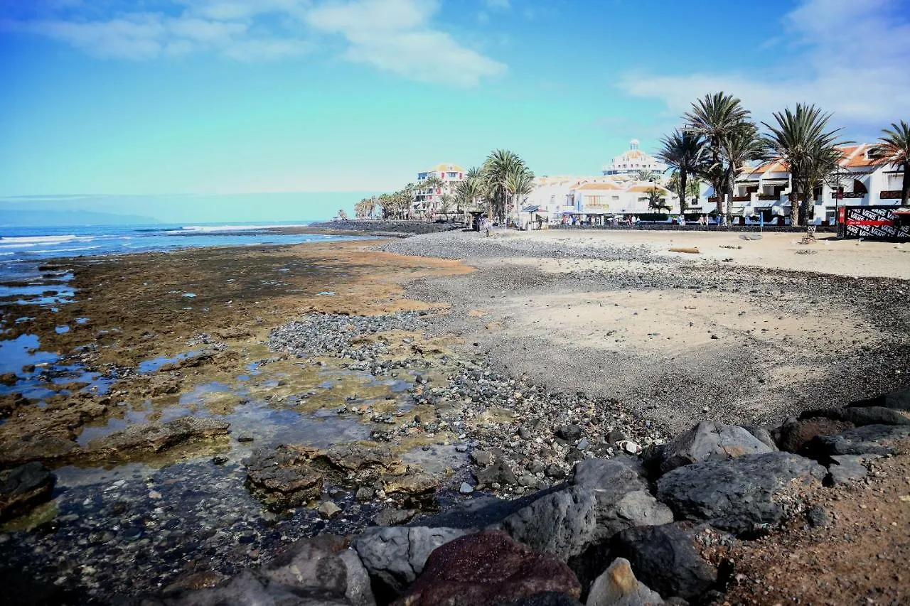 Moon Apartment Playa de las Americas  0*, Playa de las Americas (Tenerife)